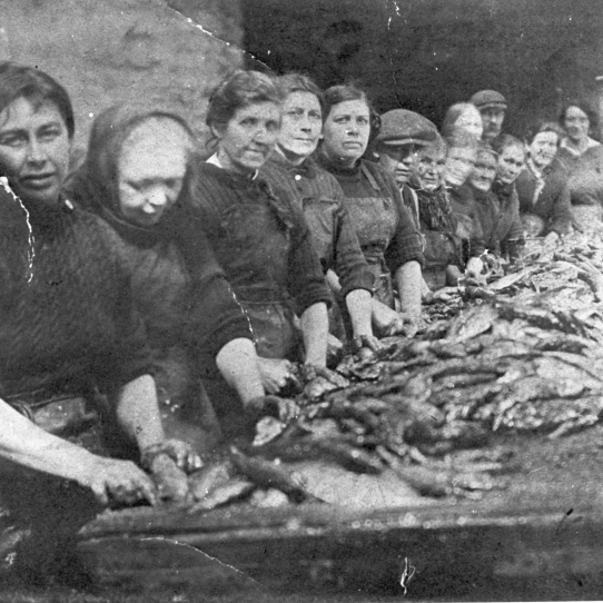Herring Gutters at Work in Craig's Yard, Dunbar, 1930s
